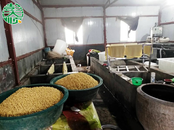 駐馬店平輿客戶豆腐皮生產現場